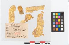 Etikett zu Goldschwertknaufbesatzfolien (NHMW-PRAE-025451)